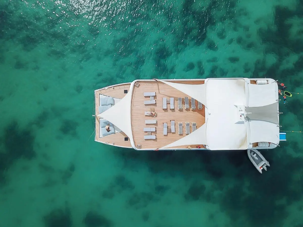 Party Catamaran 111ft — photo 4 of 8